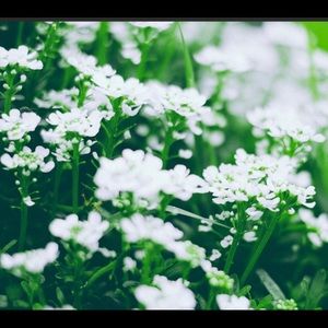 Meet your Posher, Suarez